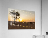 Namibia 1 Acrylic Print