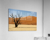 Deadvlei 1 Acrylic Print