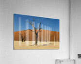 Deadvlei 2 Acrylic Print
