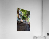 Puerto Rico 5 Acrylic Print