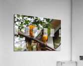 Macaws 1 Acrylic Print