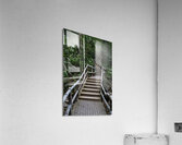 La Fortuna 1 Acrylic Print