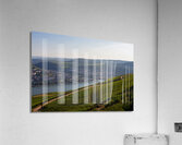 Niederwald 3 Acrylic Print