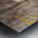 Springbok 3 Impression metal