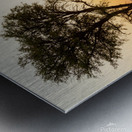 Namibia 1 Metal print