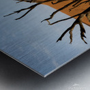 Deadvlei 1 Metal print