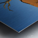 Deadvlei 2 Metal print