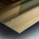 Kolmanskop 1 Metal print