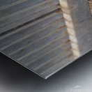 Cape Cross Seal 1 Metal print