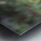 Green Iguana 1 Metal print