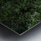 La Fortuna 1 Metal print