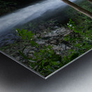 La Fortuna 2 Metal print