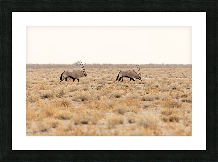 Oryx 1 Picture Frame print