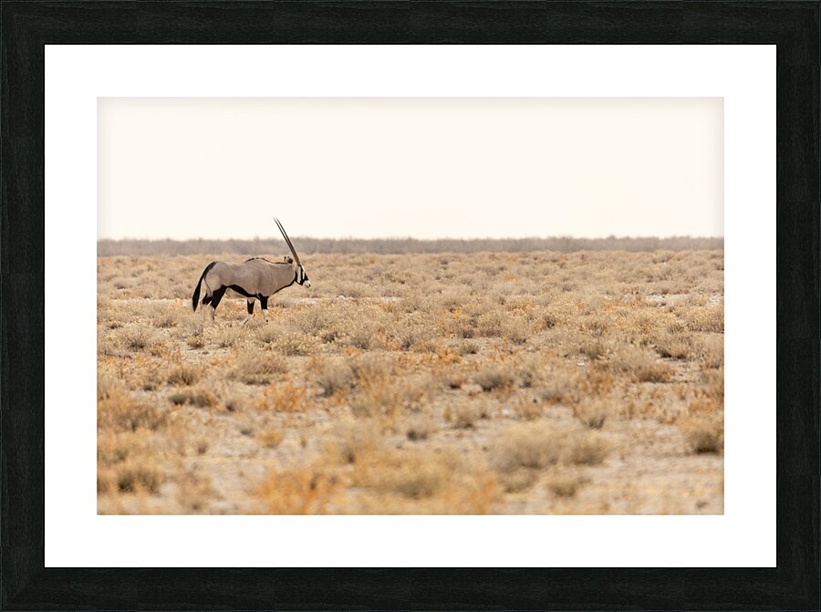Oryx 2 Picture Frame print