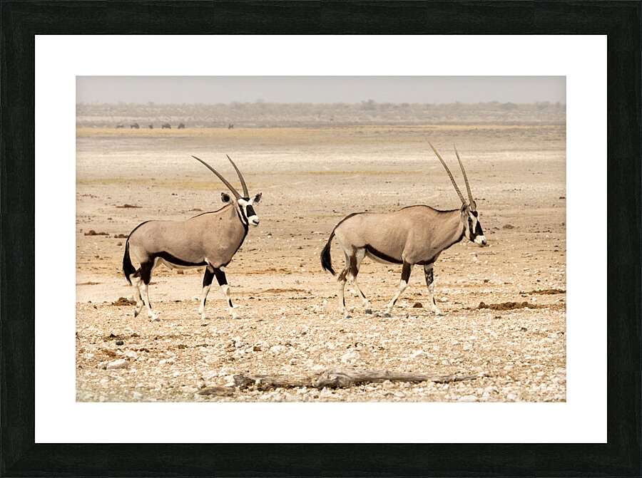 Oryx 3 Picture Frame print