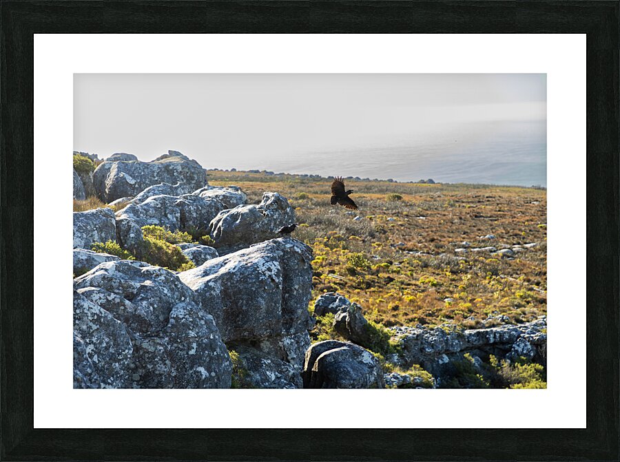 Table Mountain 1 Picture Frame print