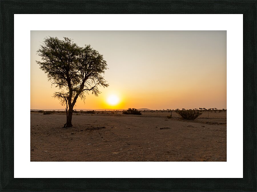 Namibia 1 Picture Frame print