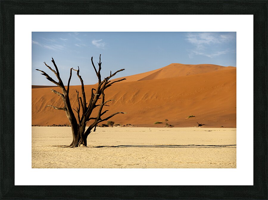Deadvlei 1 Picture Frame print