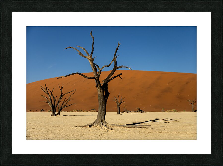 Deadvlei 2 Picture Frame print