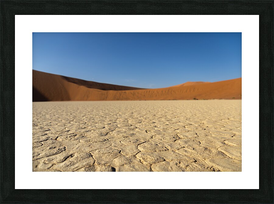 Deadvlei 3 Picture Frame print