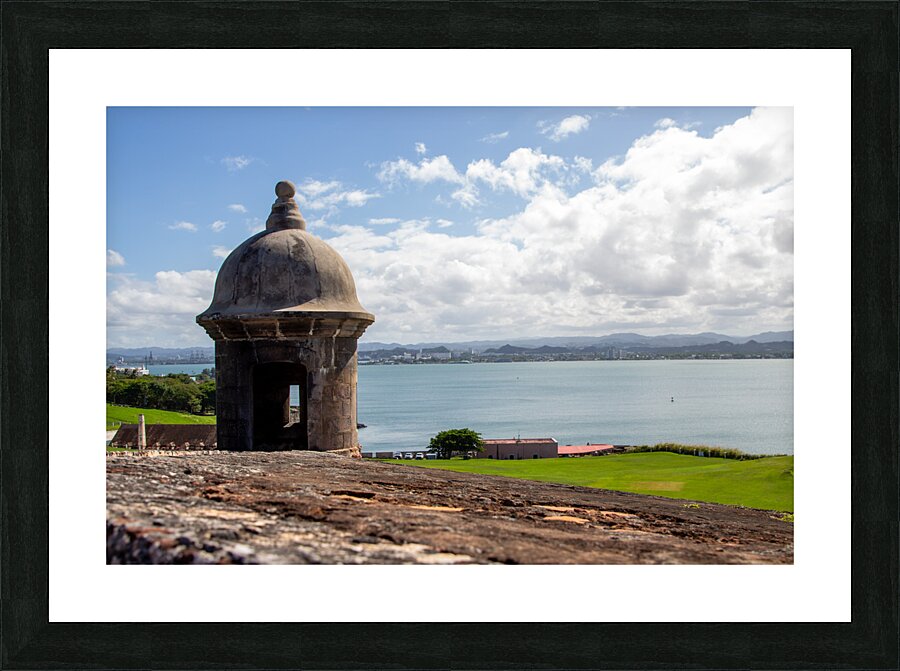 Puerto Rico 1 Picture Frame print
