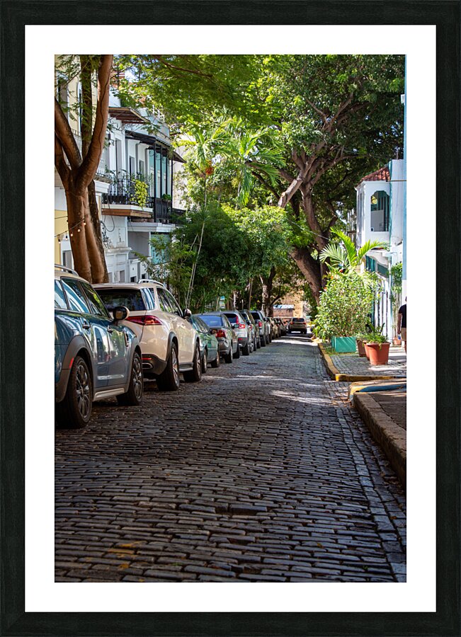 Puerto Rico 5 Picture Frame print