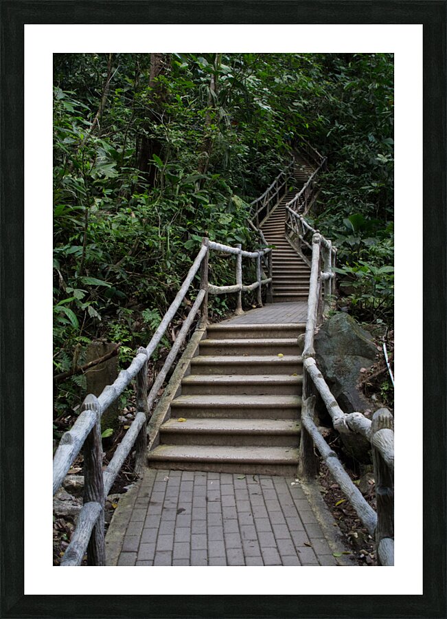 La Fortuna 1 Picture Frame print