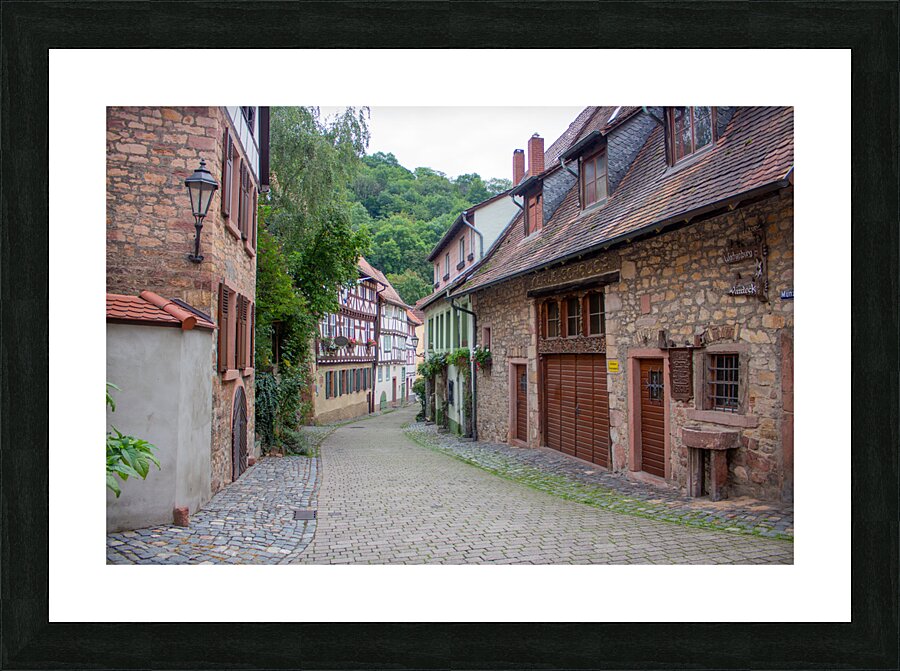 Weinheim 1 Picture Frame print