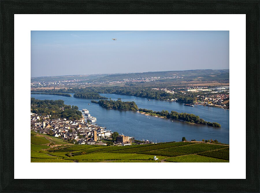 Niederwald 1 Picture Frame print
