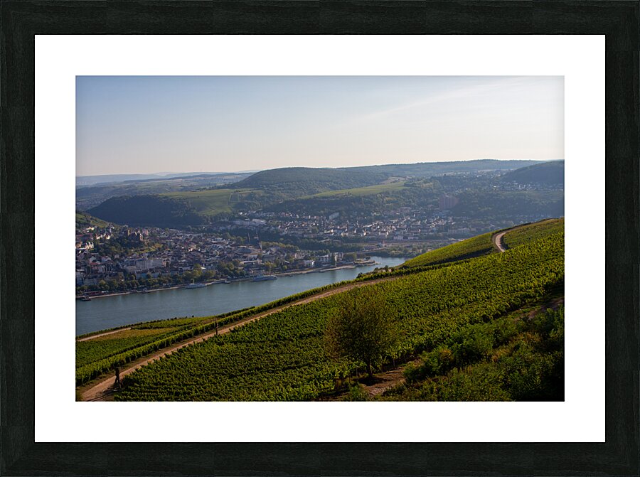 Niederwald 3 Picture Frame print