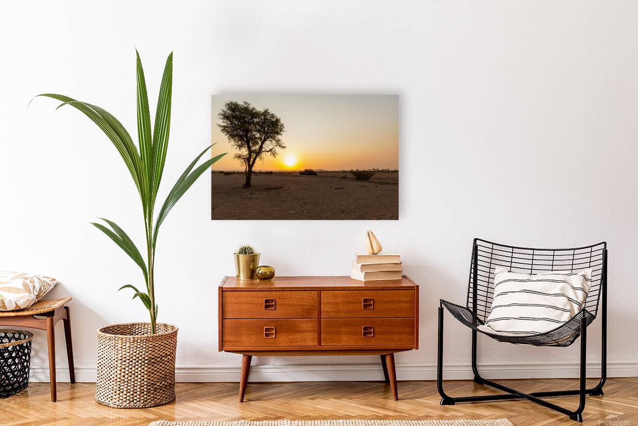 Namibia 1 Reproduction