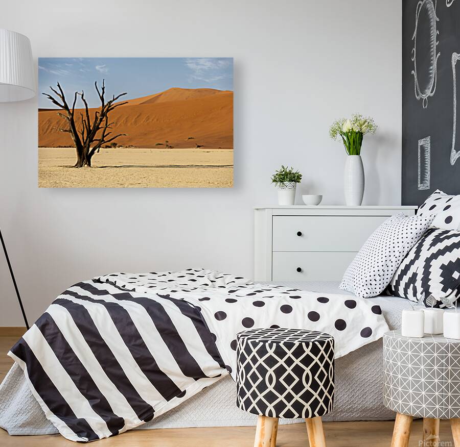 Deadvlei 1 Reproduction