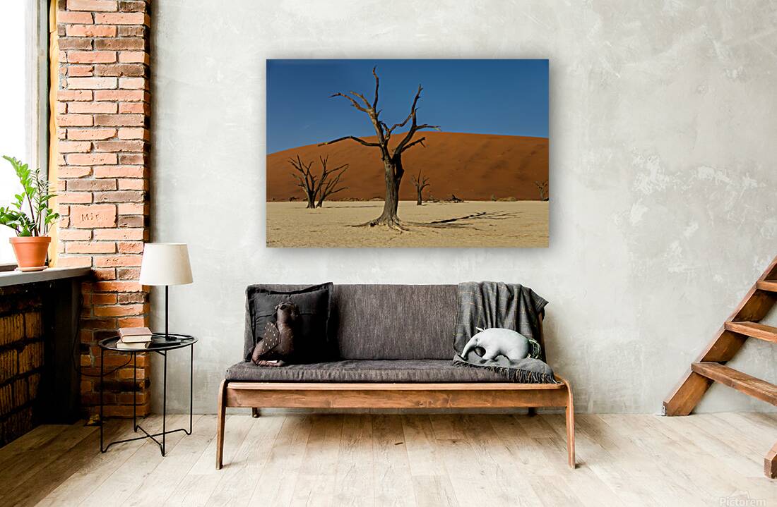 Deadvlei 2 Reproduction