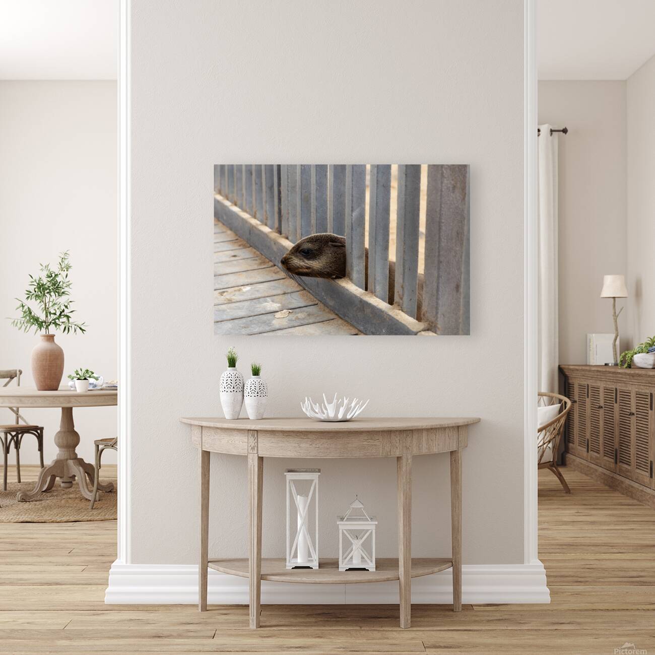 Cape Cross Seal 1 Reproduction