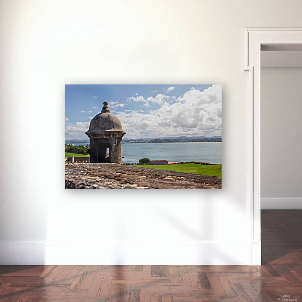 Puerto Rico 1 Reproduction