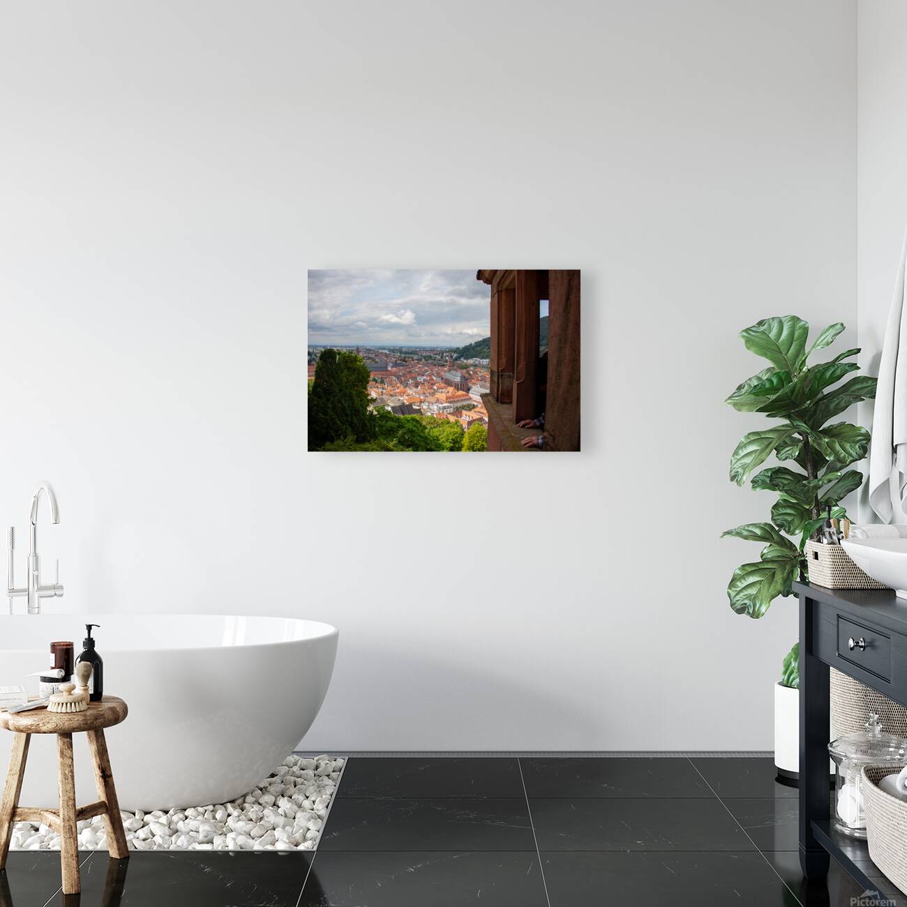 Heidelberg 1 Reproduction