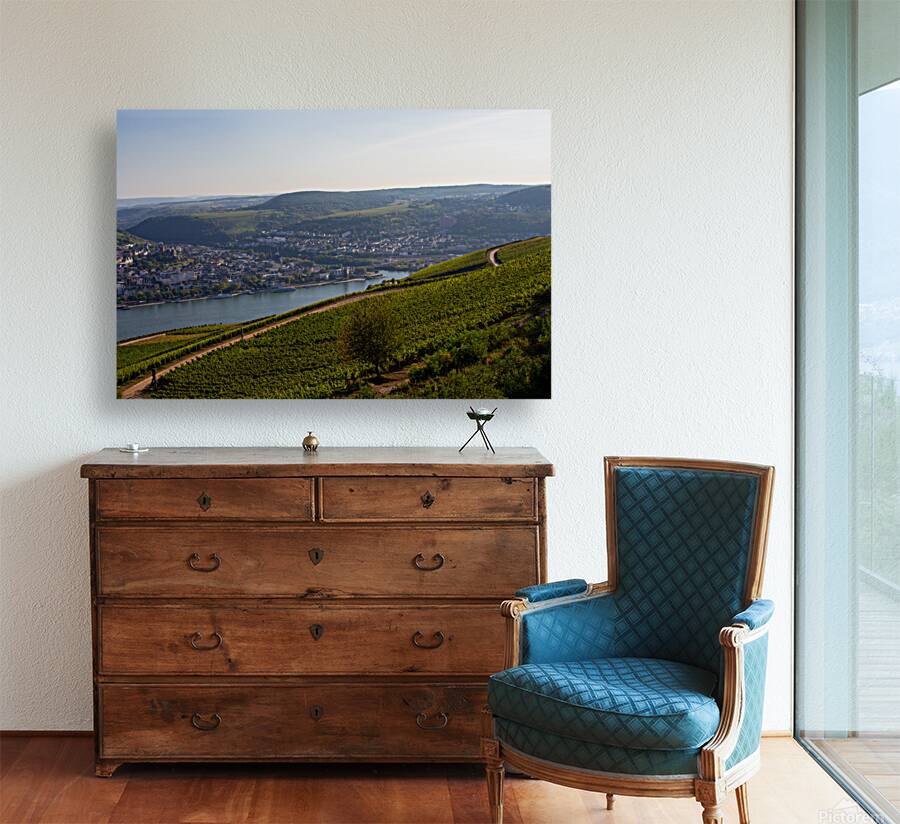 Niederwald 3 Reproduction