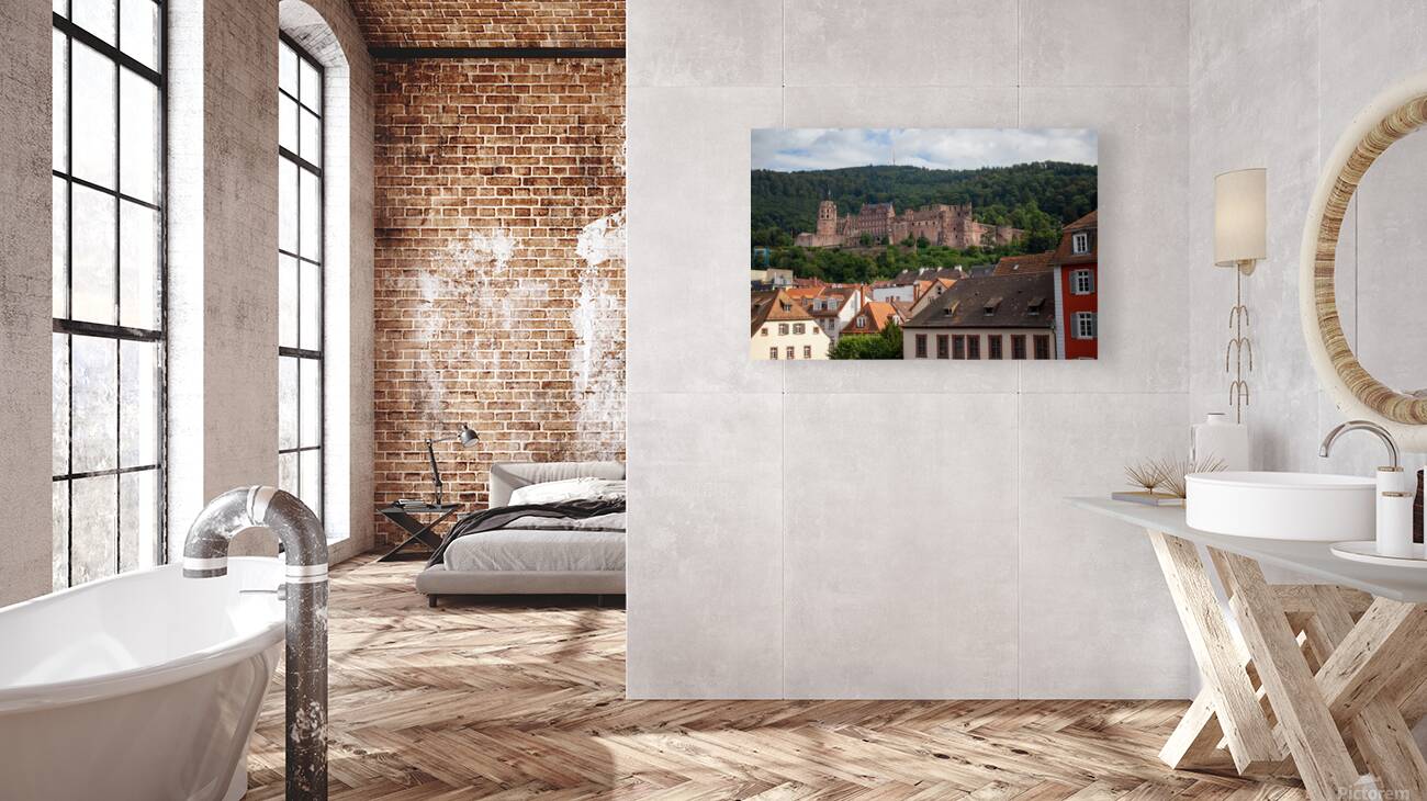 Heidelberg 2 Reproduction