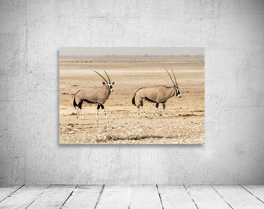 Oryx 3 Wall Preview