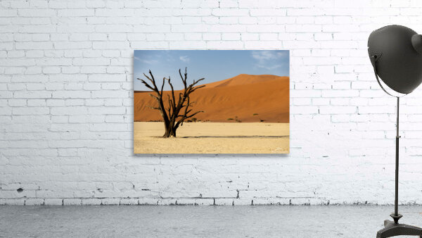 Deadvlei 1 Wall Preview