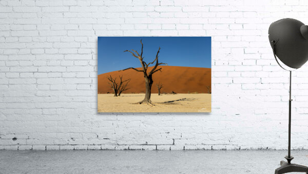 Deadvlei 2 Wall Preview