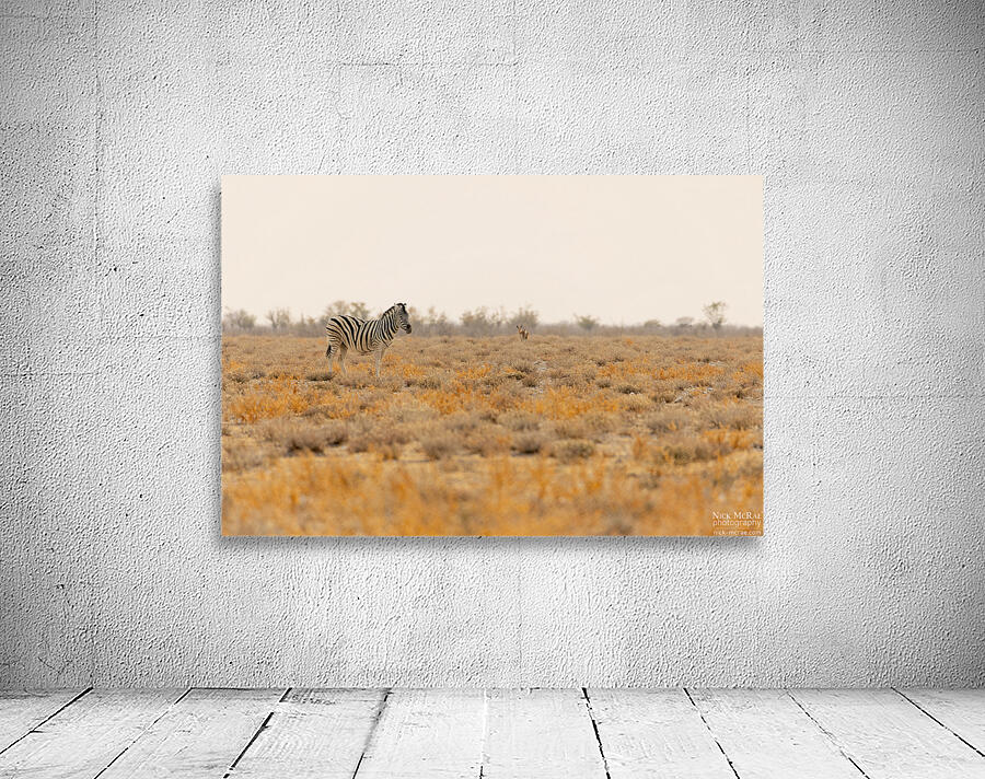 Zebra 1 Wall Preview