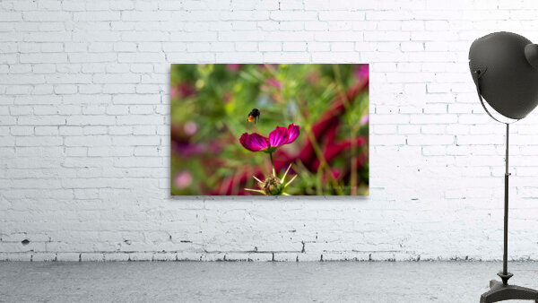 Bee & Flower 1 Wall Preview