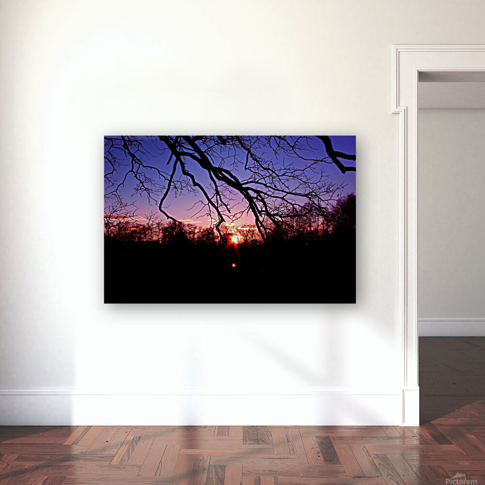 Winter Sunset Reproduction