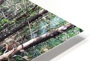 Fae grove HD Metal print