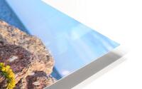 Growing through HD Metal print