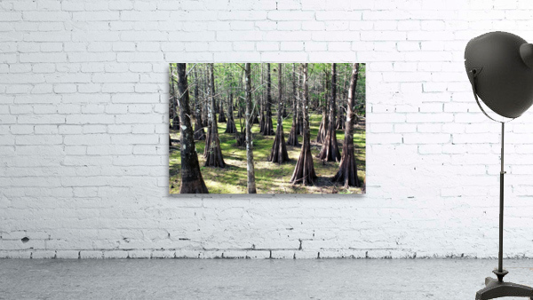 Fae grove Wall Preview