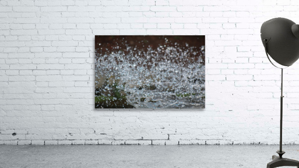 In motion Wall Preview