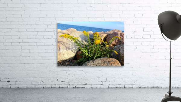 Growing through Wall Preview