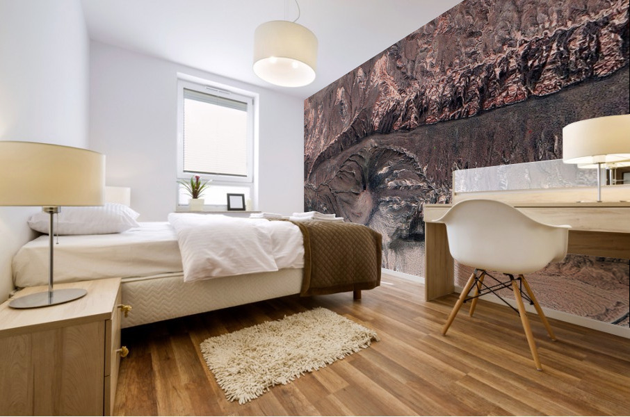 crevace Mural print